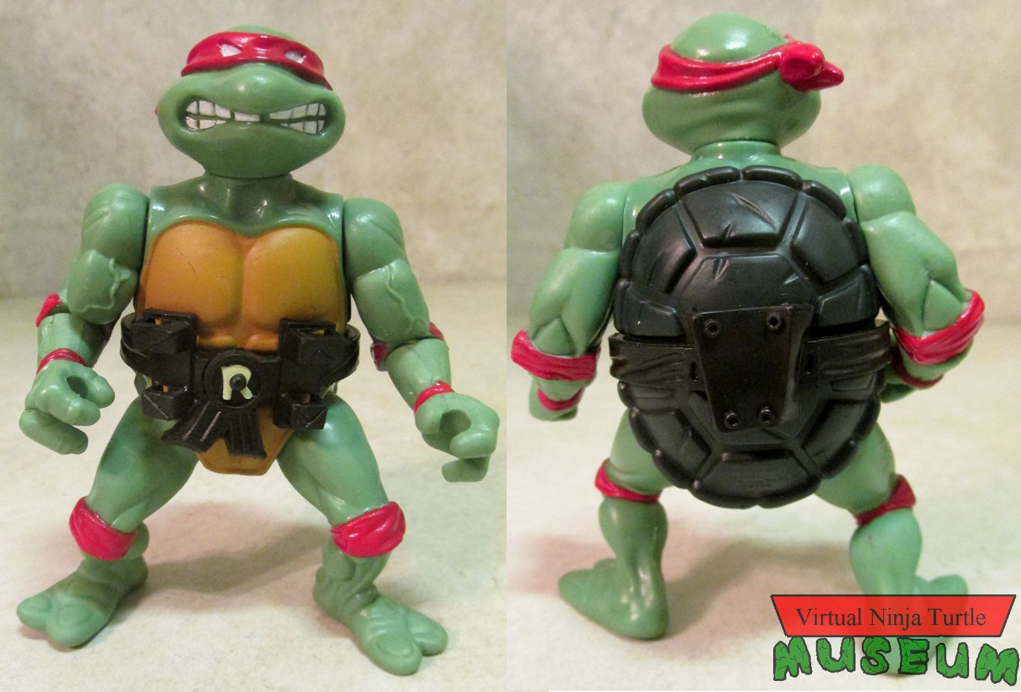 Raphael front and back