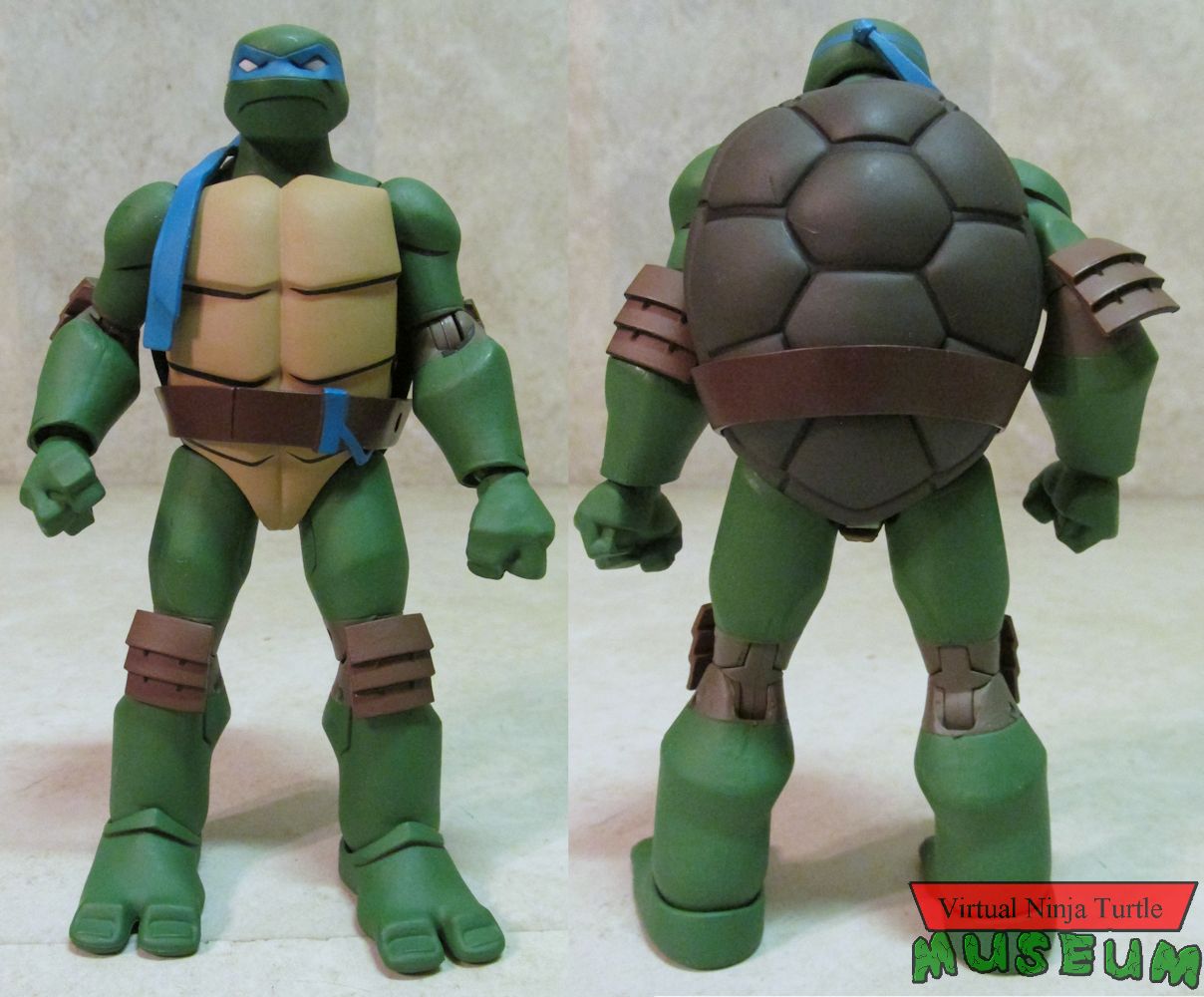 Leonardo front and back