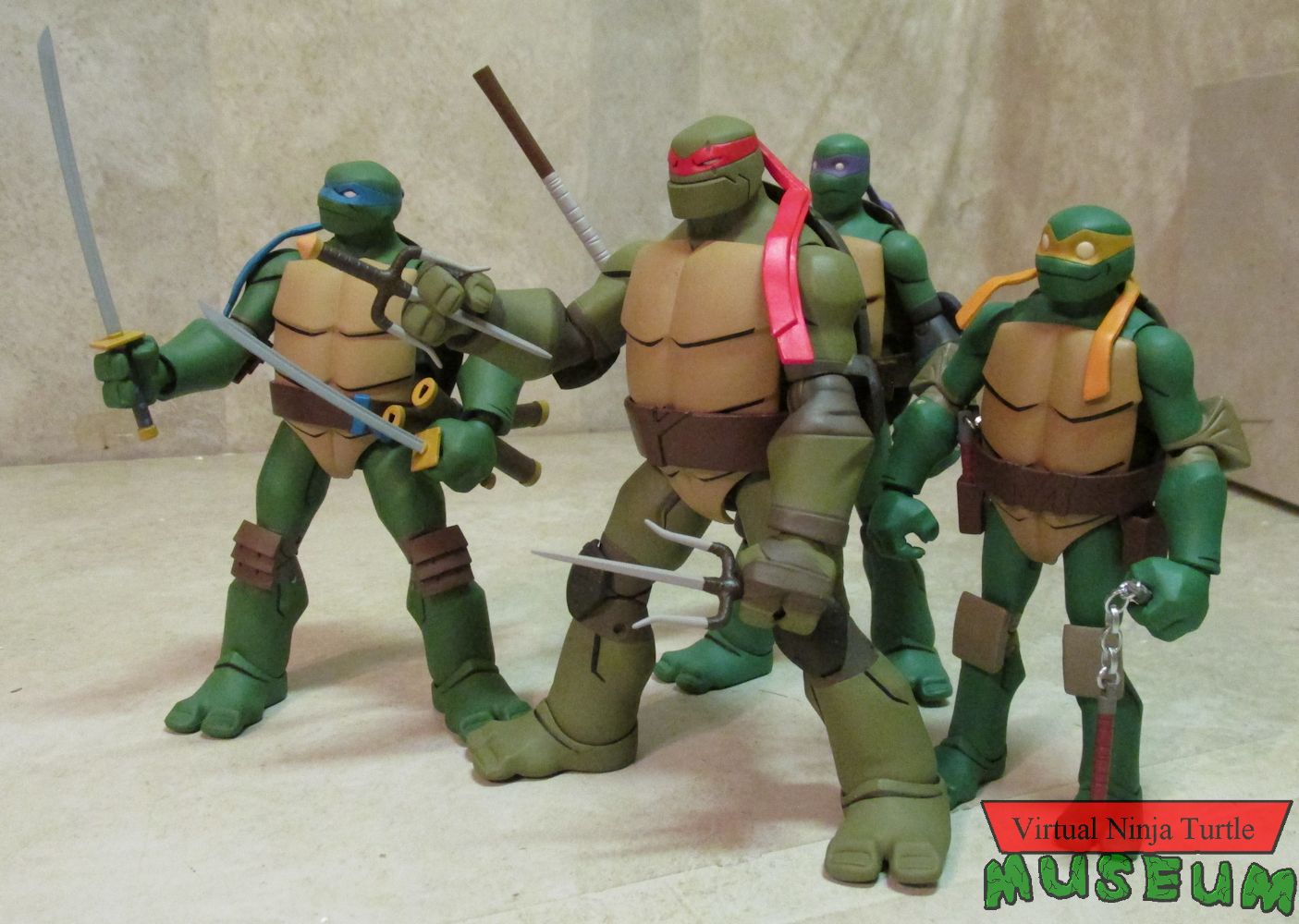 Turtles ready for action