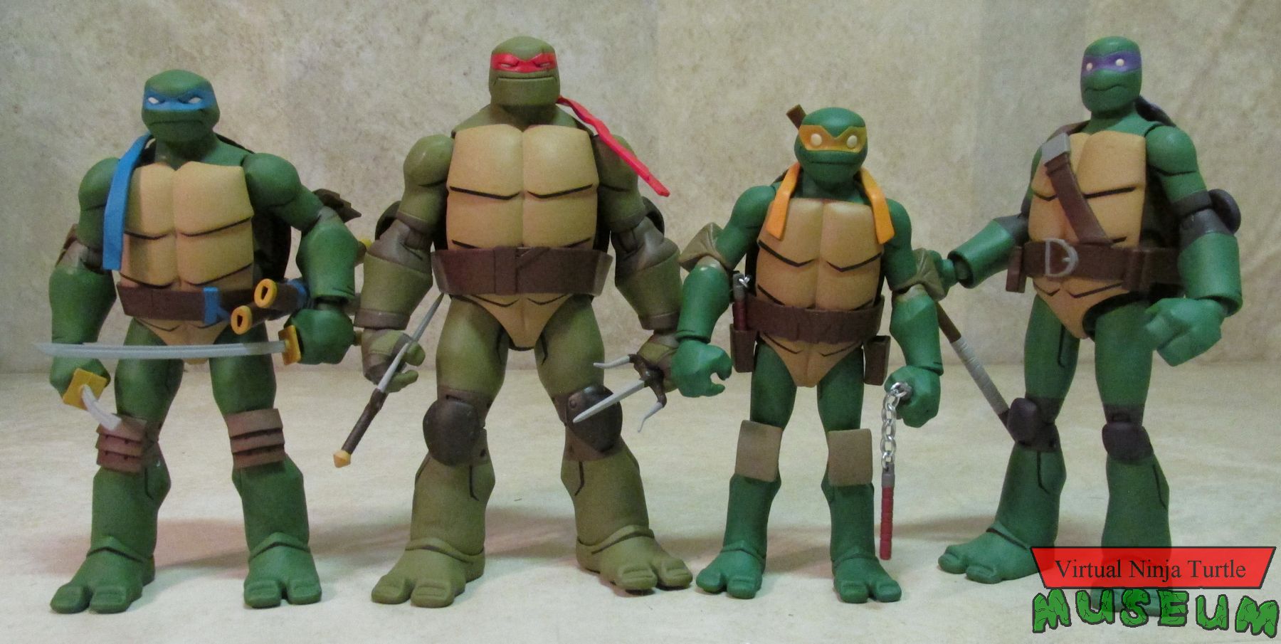 Turtles group photo