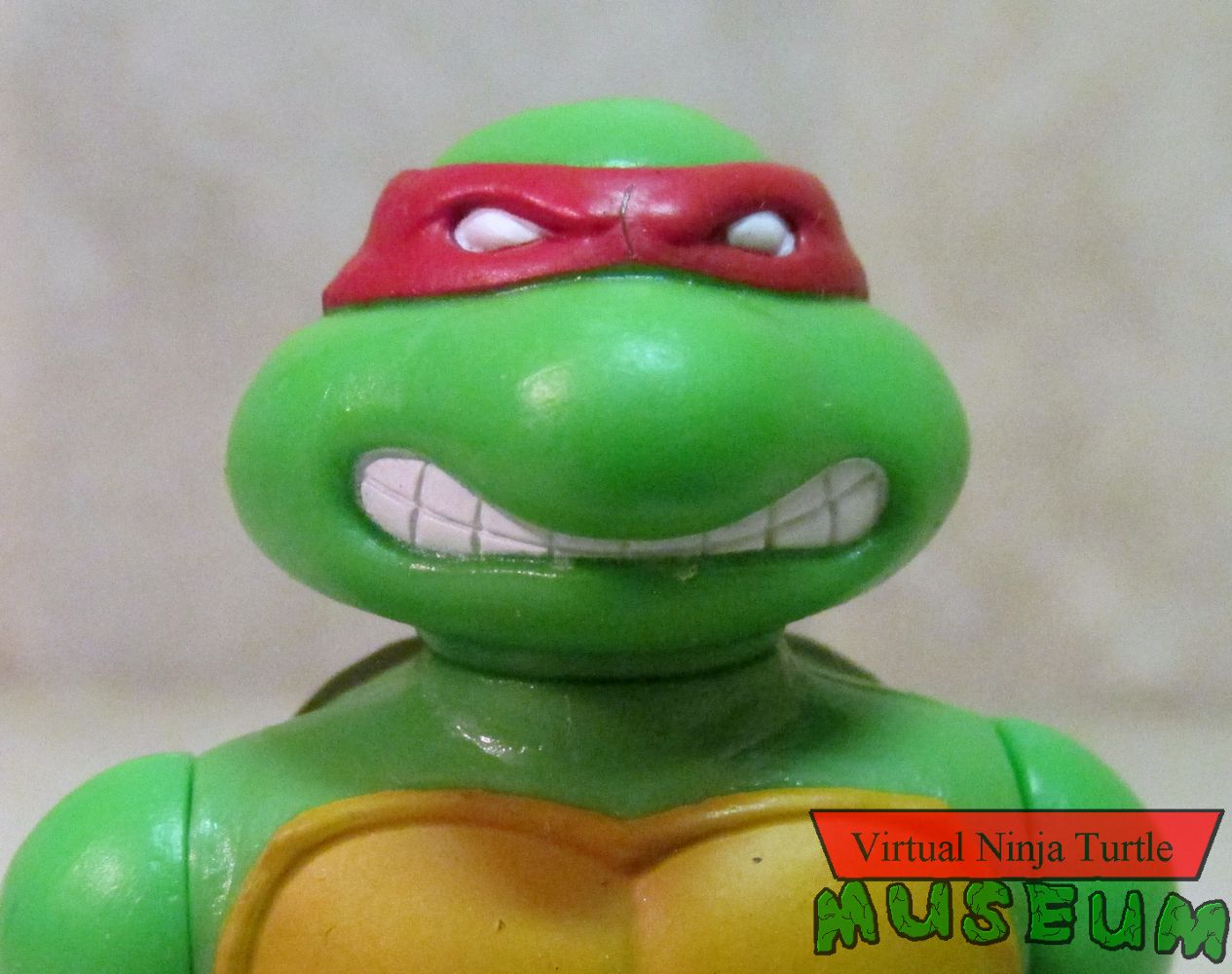 Raphael close up