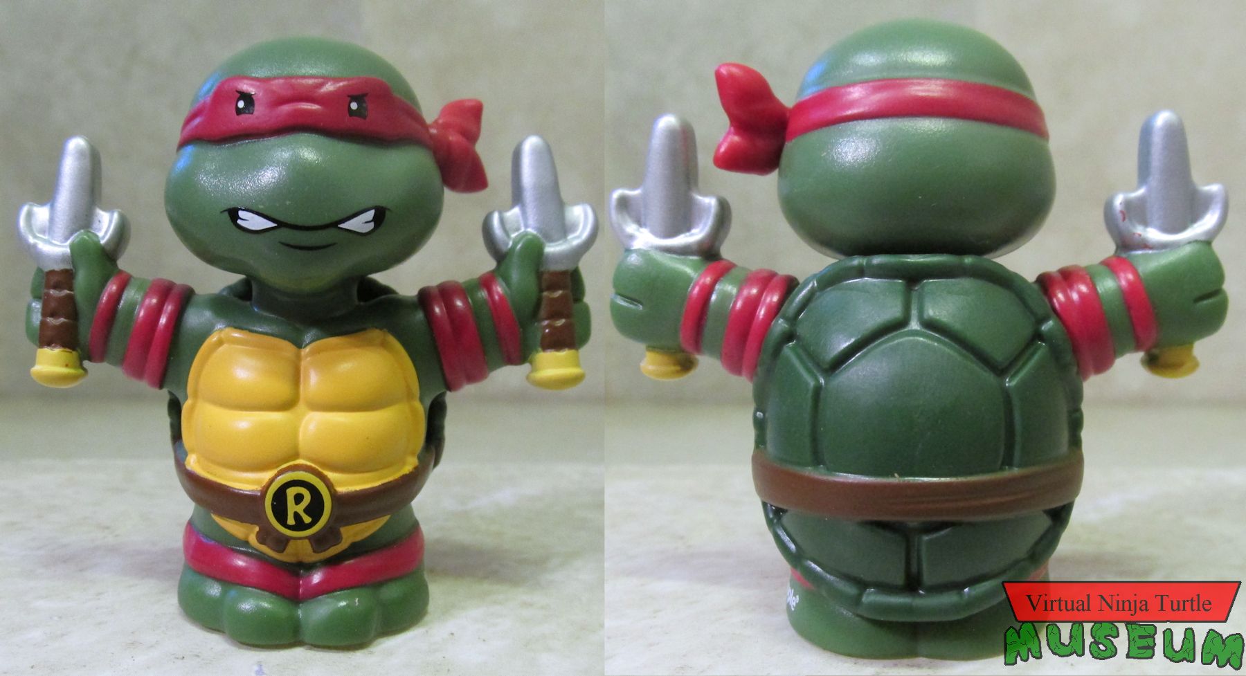 Raphael front and rear