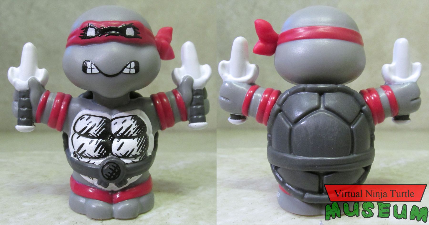 Raphael front and rear