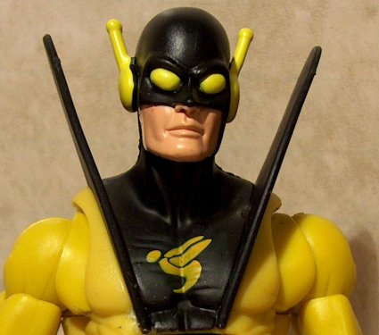 Yellowjacket's face